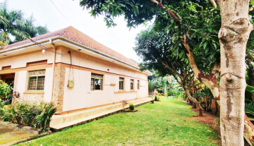 WhatsApp Image 2025-12-10 at 13.35.59.jpeg